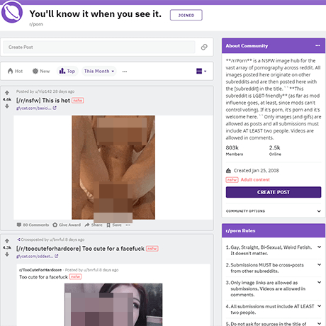 r/Porn – Curated NSFW Content from Diverse Reddit Communities