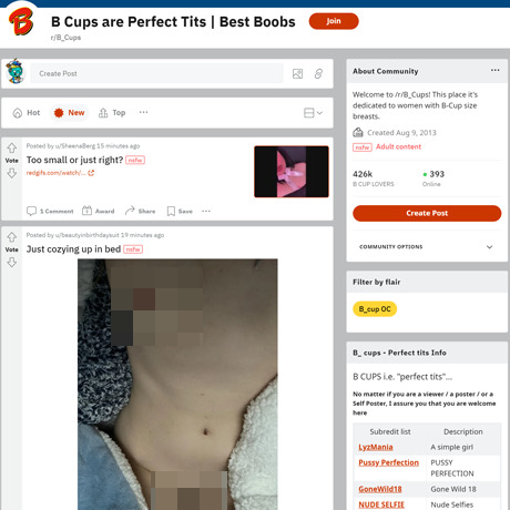 B Cups – Exploring the r/B_cups Subreddit for Amateur B-Cup Porn