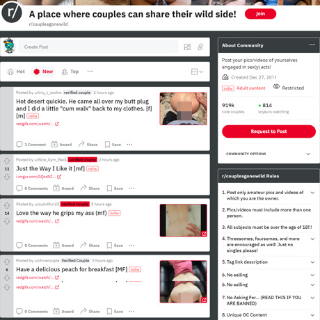 Couples Gone Wild – Real Couples Sharing Intimate Moments on Reddit