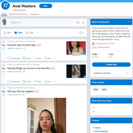 Master Of Anal screenshot