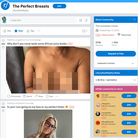 FortyFiveFiftyFive – Perky Breasts Subreddit Review | NSFW Reddit