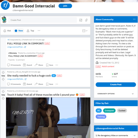 DamnGoodInterracial – Interracial Porn Subreddit with Huge Collection