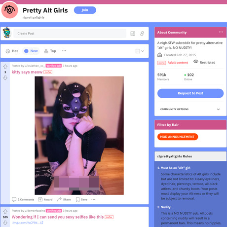 Pretty Alt Girls – A Unique Subreddit for Alternative Style