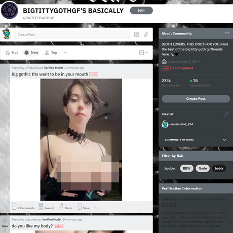 BigTittyGothGF – Busty Goth Girls Free NSFW Subreddit Review