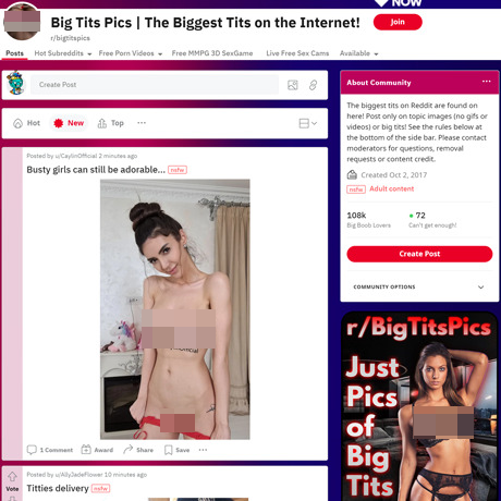 Big Tits Pics screenshot