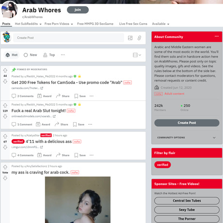 Arab Whores screenshot