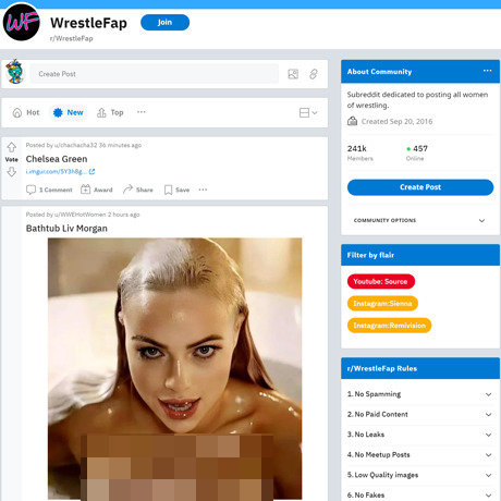 WrestleFap – The Ultimate Wrestling Porn Subreddit | NSFW Reddit Sites