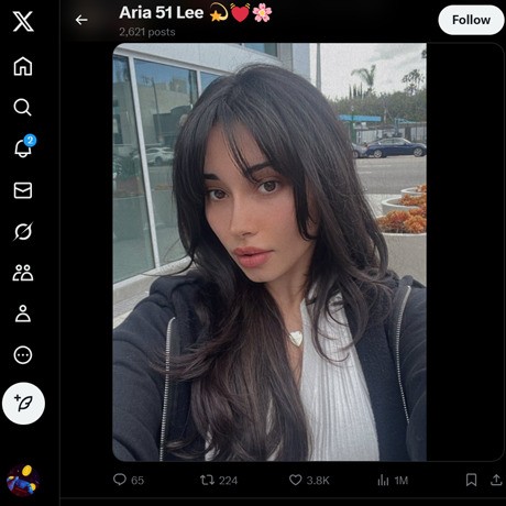 Aria Lee Twitter – Porn Star Updates and Exclusive Content