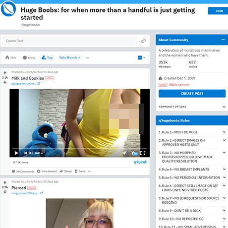 HugeBoobs – r/HugeBoobs NSFW Subreddit Review