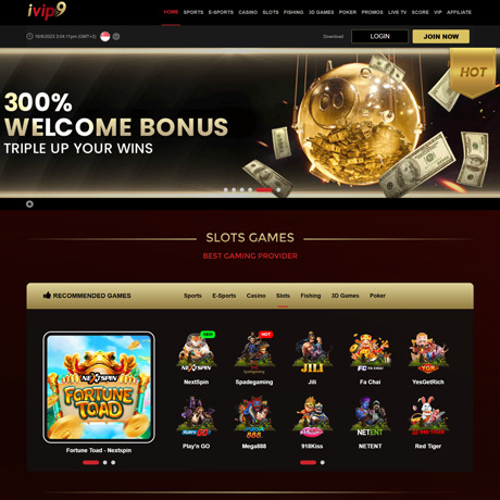 iVIP9 screenshot