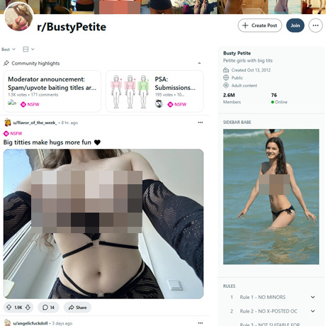 Reddit Busty Petite – Busty Petite Subreddit Review | NSFW Community