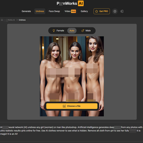 PornWorks screenshot