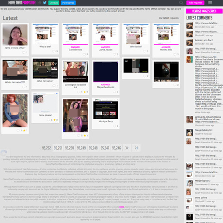 NameThatPornstar – Identify Porn Stars with Community Help