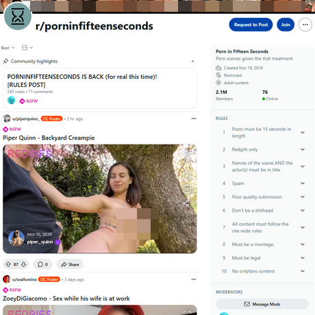 Reddit Porn In Fifteen Seconds – Quick NSFW Clips from Top Subreddit