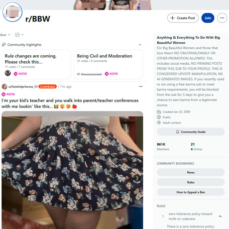 Reddit r/BBW – A Hub for Curvy Amateur Content