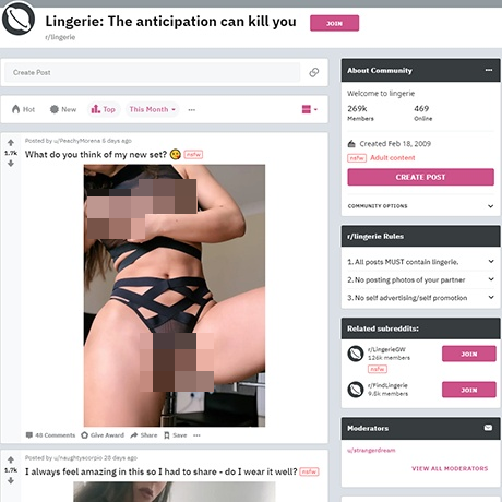 Reddit – A Popular Subreddit for Lingerie Enthusiasts and OC