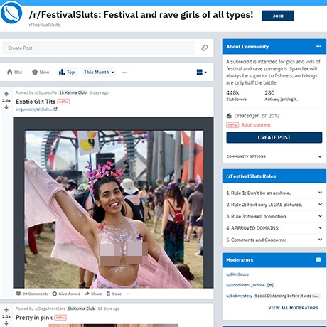 Festival Sluts screenshot