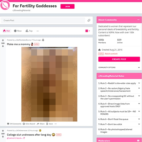 Breeding Material – Explore the Hottest NSFW Subreddit for Amateur Models