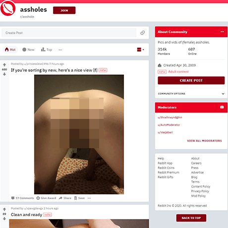 r/Asshole – Subreddit Review for Female Asshole Shots | NSFW Reddit List