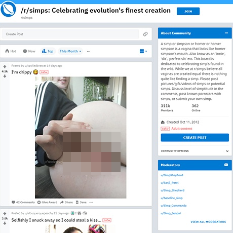 Simps – Homer Simpson Vagina Lips Subreddit Reviewed