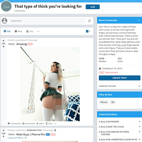 SlimThick – Softcore Erotic Pics of Slim Thick Babes | NSFW Subreddit