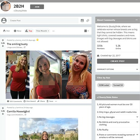 2Busty2Hide – Busty Women in Clothes on Reddit | SFW Big Boobs