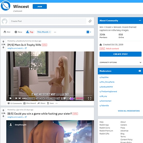 Reddit Taboocest screenshot