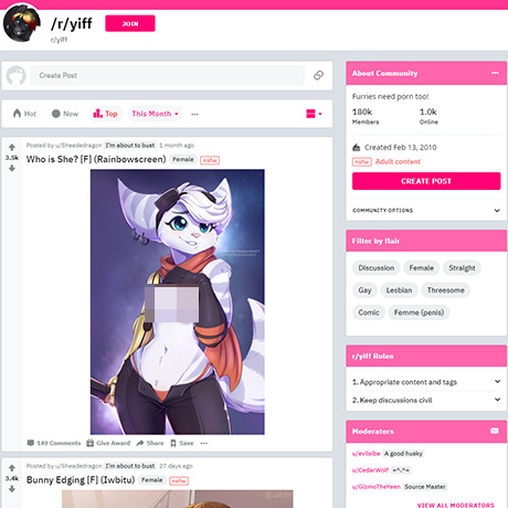 Yiff – Furry NSFW Subreddit Review and Alternatives