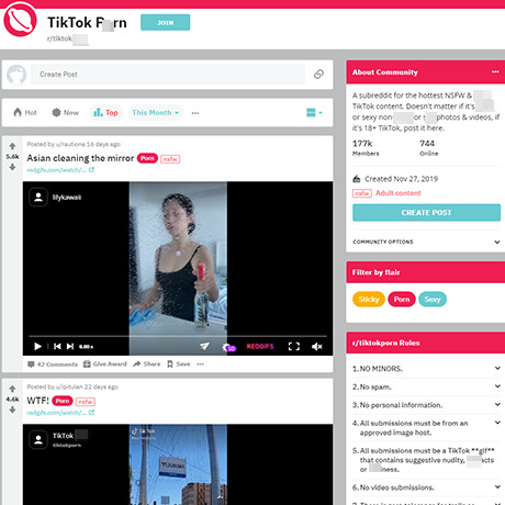 Reddit – R/TikTokPorn Subreddit Review & NSFW TikTok Content