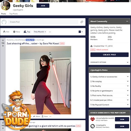 GeekyGirls – A Reddit Subreddit for NSFW Geeky Content