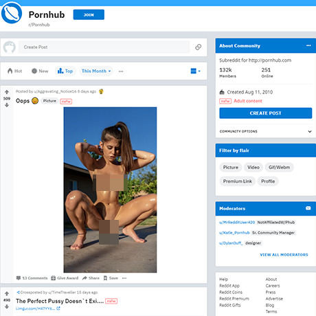 r/PornHub – A Reddit Subreddit for Bite-Sized Adult Content