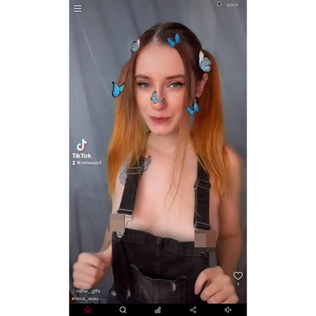 PinPorn – Curated TikTok Porn & Social Media Videos