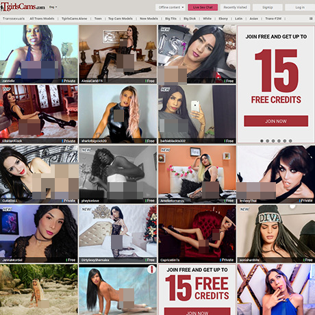 TgirlsCams – Live Trans Cams with Diverse Models and Filters
