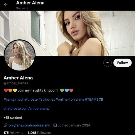Amber Alena – Twitter Porn Star with Massive Breasts | X.com Account